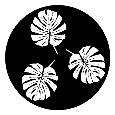 White silhouette of 3 monstera leaves on a black circle gobo.