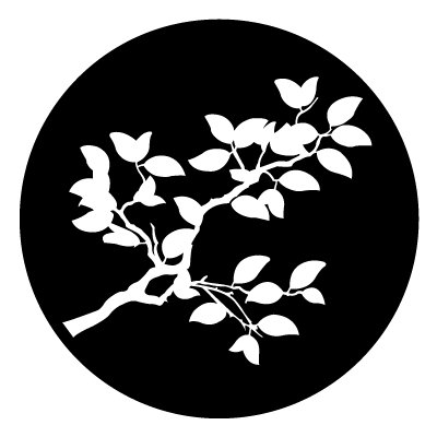 White silhouette of a branch with pointed leaves on a black circle gobo.