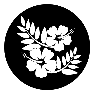 White silhouette of 2 hibiscus flowers with leaves on a black circle gobo.