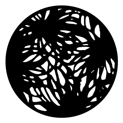 White close up details of a leaf on a black background.
