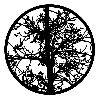 White circle with black silhouette of a tree trunk with fine branches on a black circle gobo.