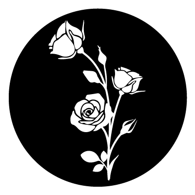 White stylised rose stem with 3 rose flowers, leaves and buds on a black circle gobo.